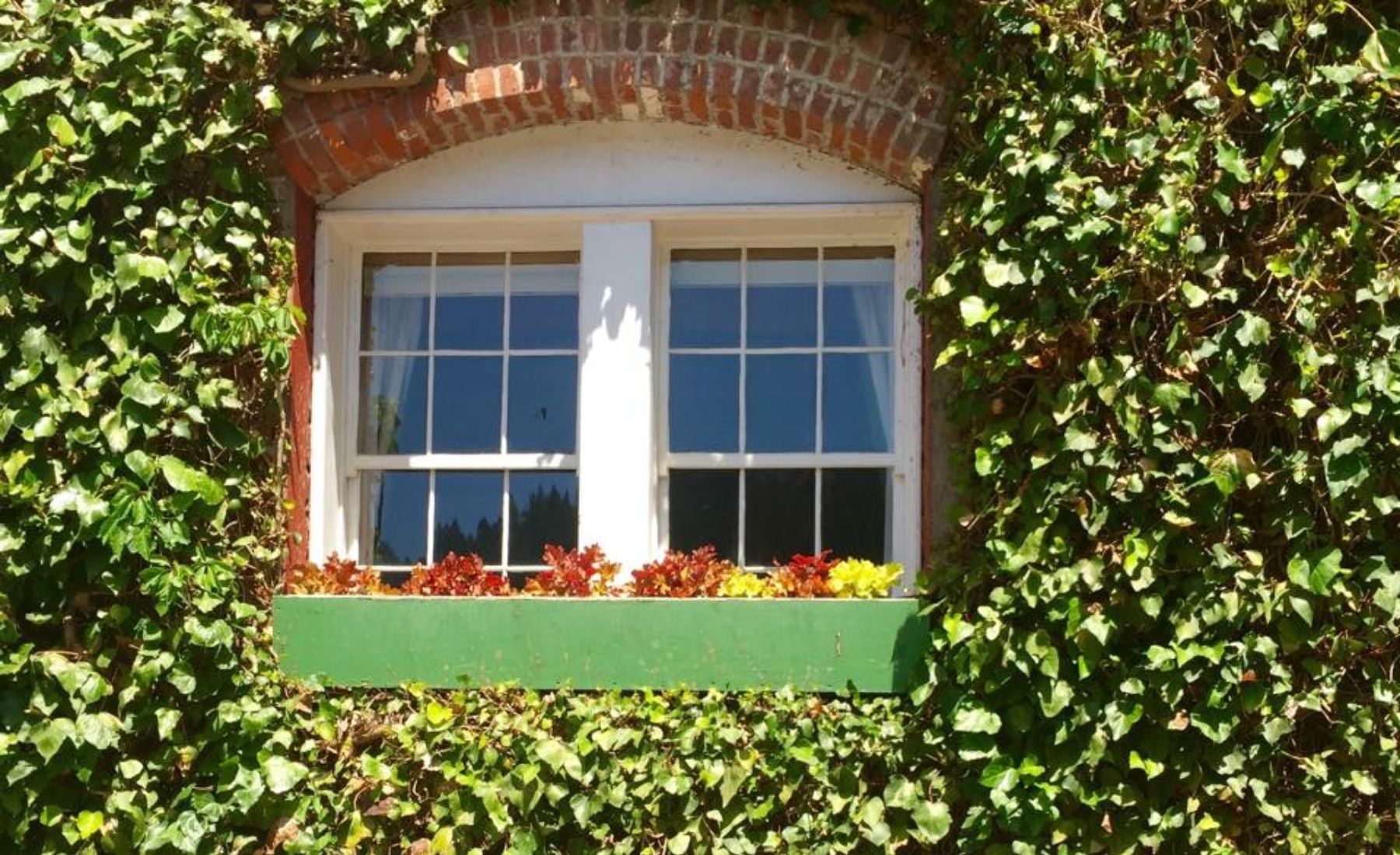 Window Cleaning Service Davis CA 50
