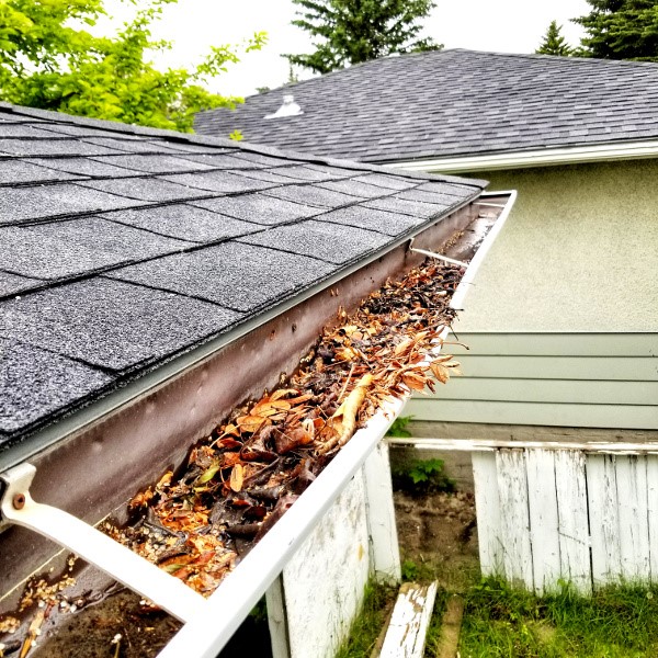 Residential Gutter Cleaning Woodland CA
