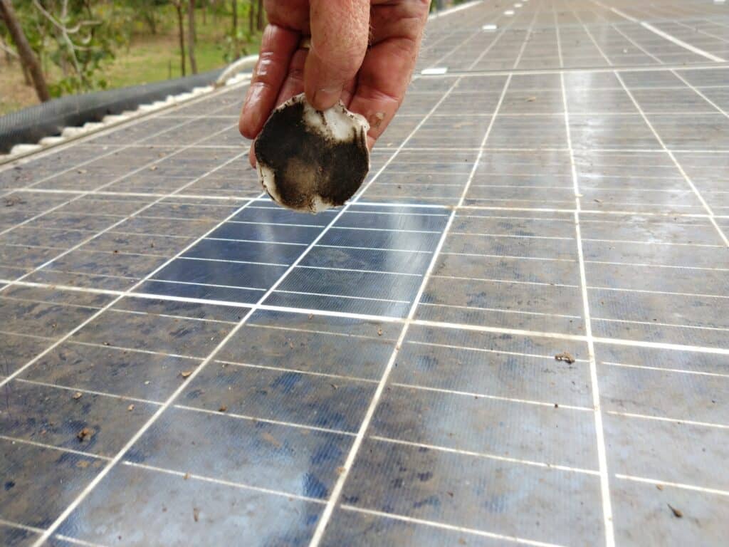 Solar Panel Cleaning Service Provider
