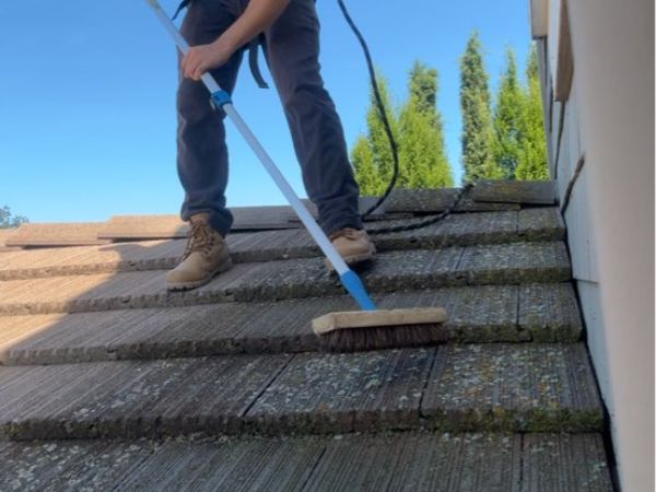 Professional roof cleaning: A worker uses a brush on an extension pole to clean moss and algae from a shingle roof under a blue sky.